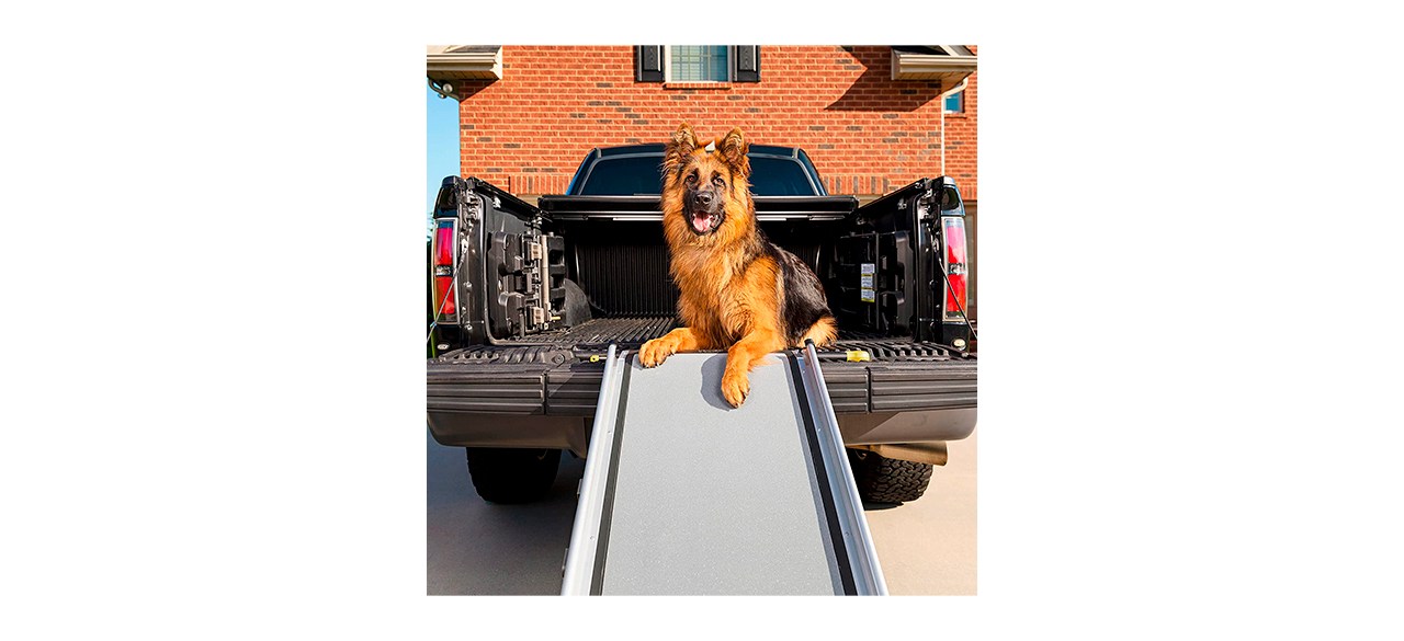 PetSafe Happy Ride Extra Long Telescoping Dog Ramp