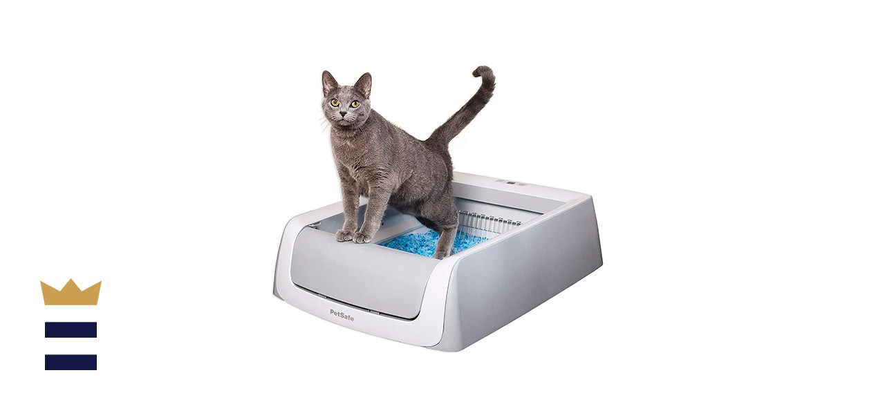 PetSafe ScoopFree Automatic Self-Cleaning Litter Box