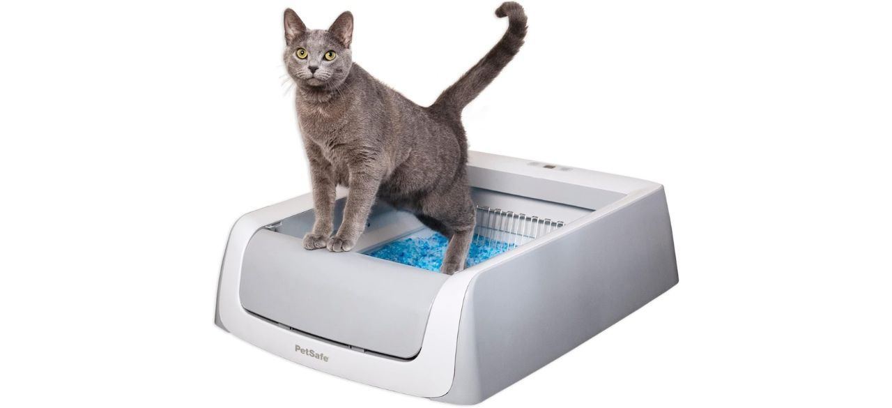 PetSafe ScoopFree Crystal Pro Self Cleaning Cat Litter Box on white background