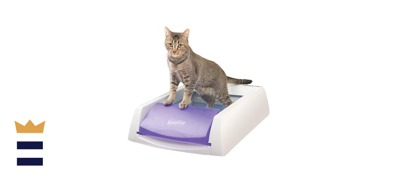 PetSafe ScoopFree Self-Cleaning Litter Box