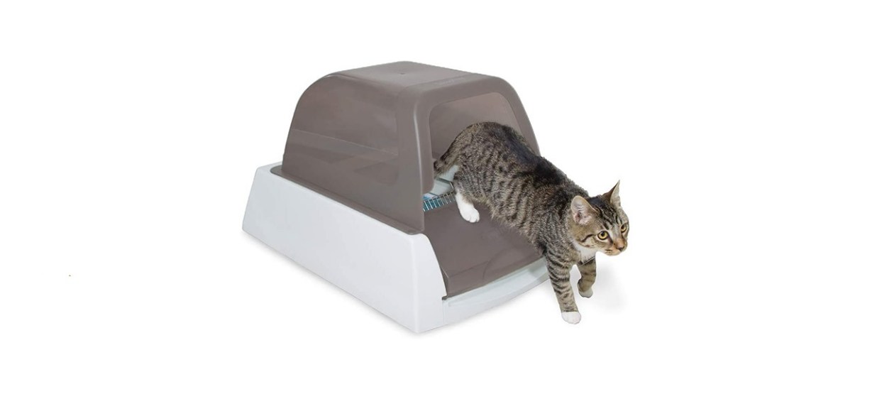 Best self-cleaning litter box | FOX31 Denver