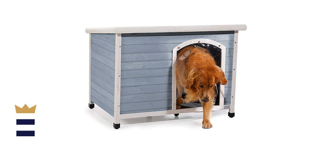 Petsfit Weatherproof Outdoor Dog Kennel with Raised Feet