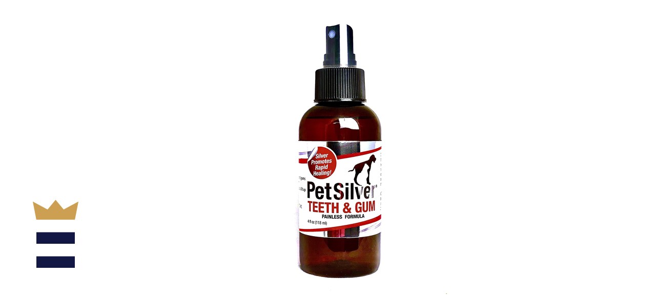 PetSilver Teeth &amp; Gum Spray