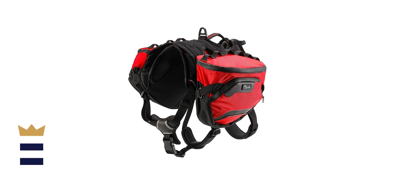 pettom dog backpack