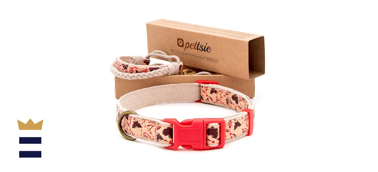 Pettsie Matching Dog Collar and Owner Friendship Bracelet