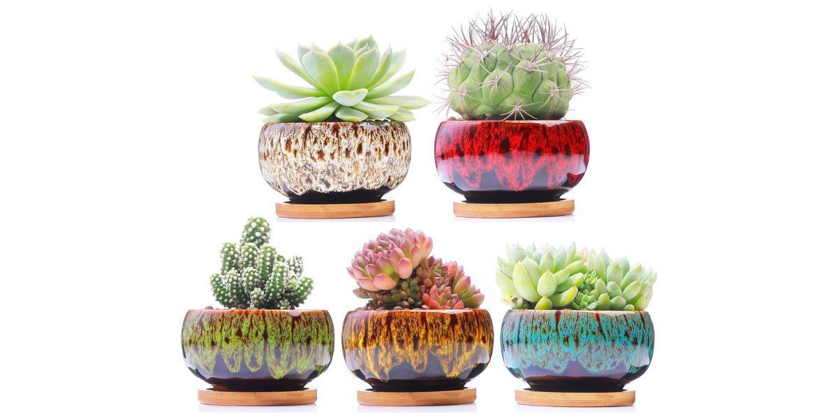 LAMDAWN Cute Ceramic Succulent Garden Pots