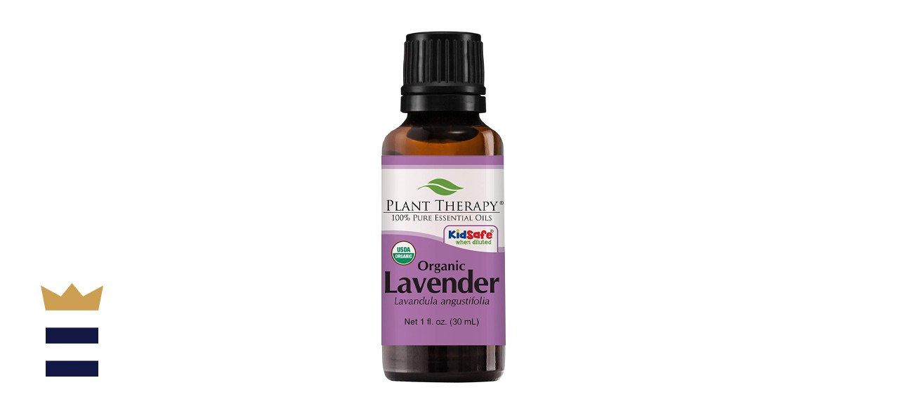 Plant Therapy Organic Lavender Essential Oil