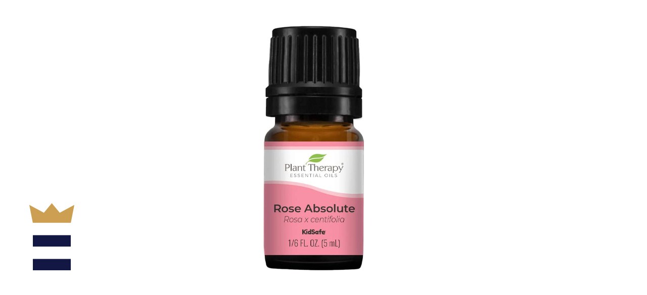 Plant Therapy Rose Absolute Essential Oil