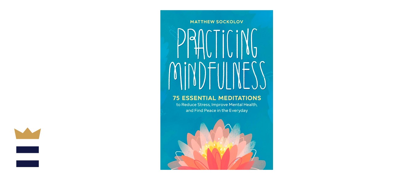 Practicing Mindfulness by Matthew Sockolov