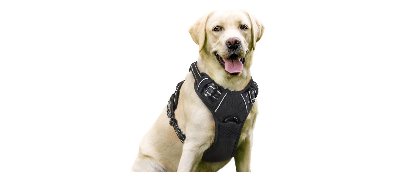 Rabbitgoo Dog Harness