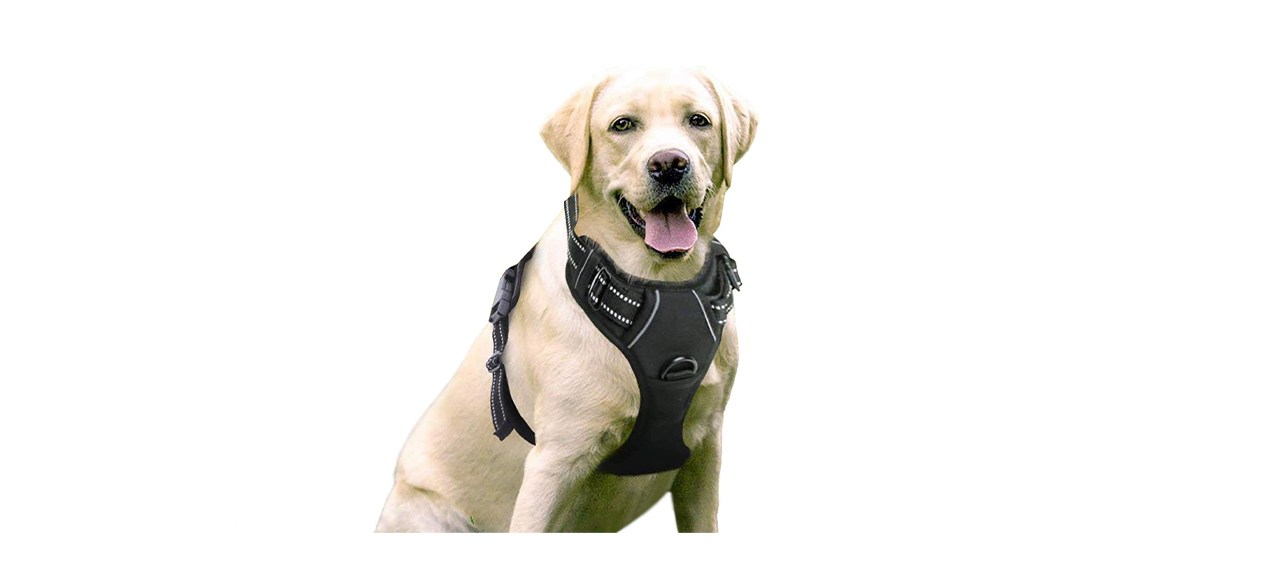 Rabbitgoo No Pull Harness Vest For Outdoor Walking