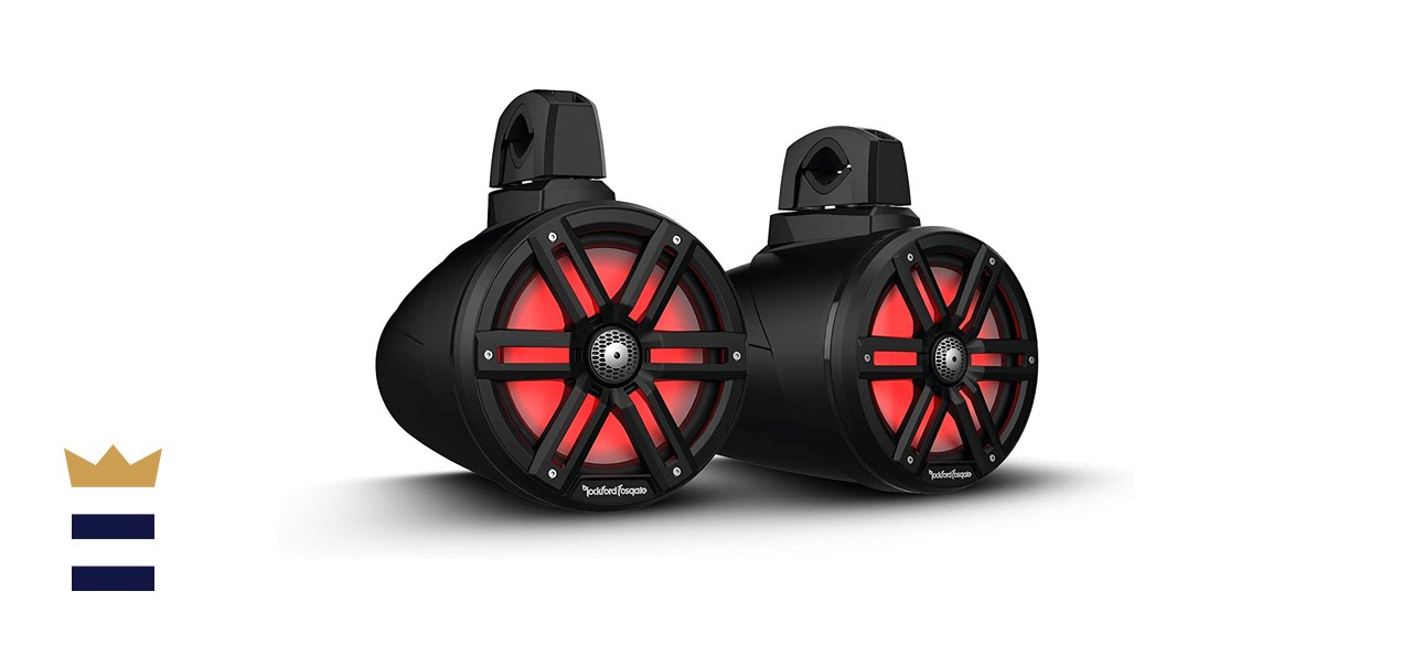 Rockford Fosgate M2WL-8B Color Optix
