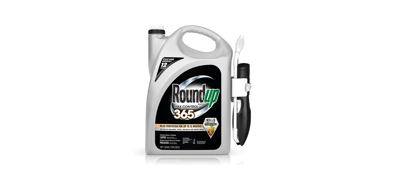 Best Roundup Max Control 365 Ready-to-Use Comfort Wand Sprayer