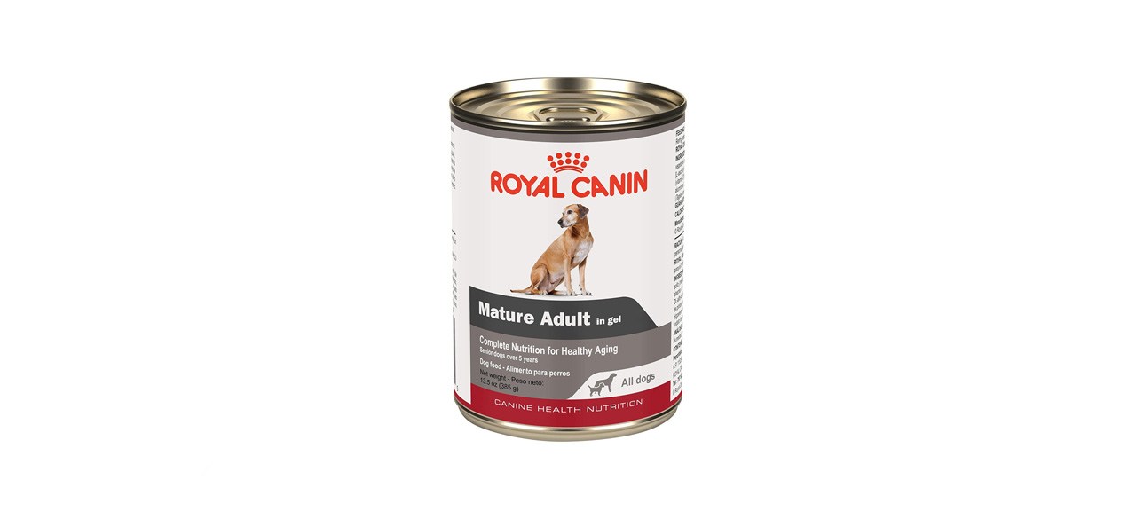 best royal canin dog food