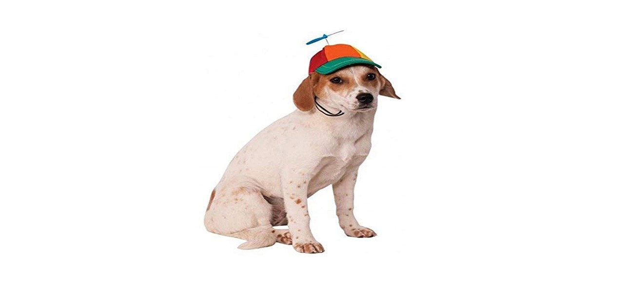 Propeller fashion hat for dog