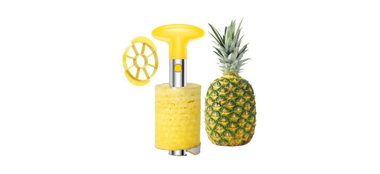 SameTech Stainless Steel Pineapple Tool