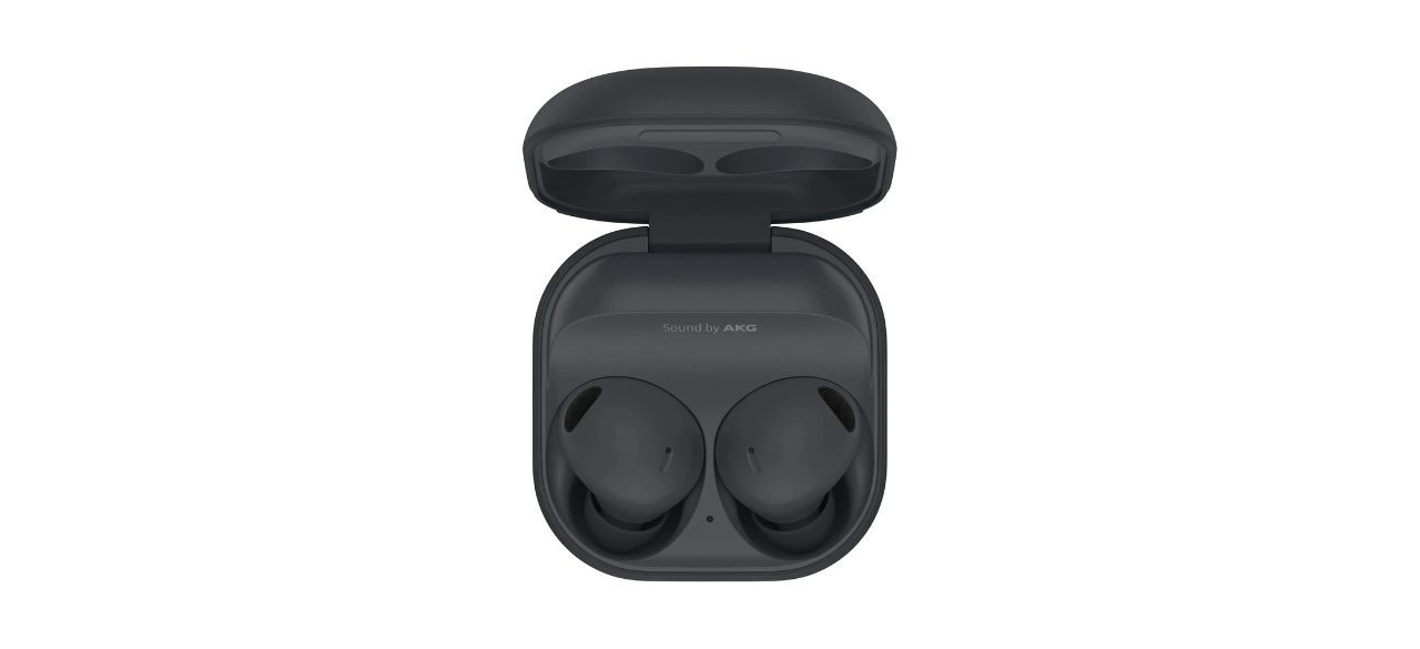 Samsung - Galaxy Buds2 Pro True Wireless Earbud Headphones on white background