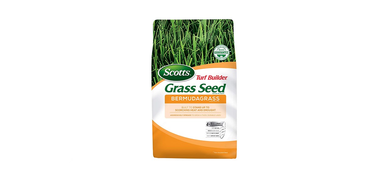 Best Scotts Turf Builder Grass Seed Bermudagrass