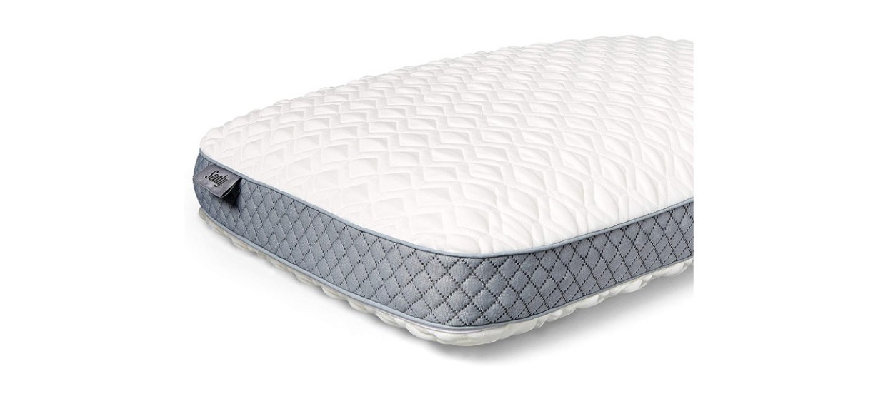 Sealy Molded Memory Foam Pillow