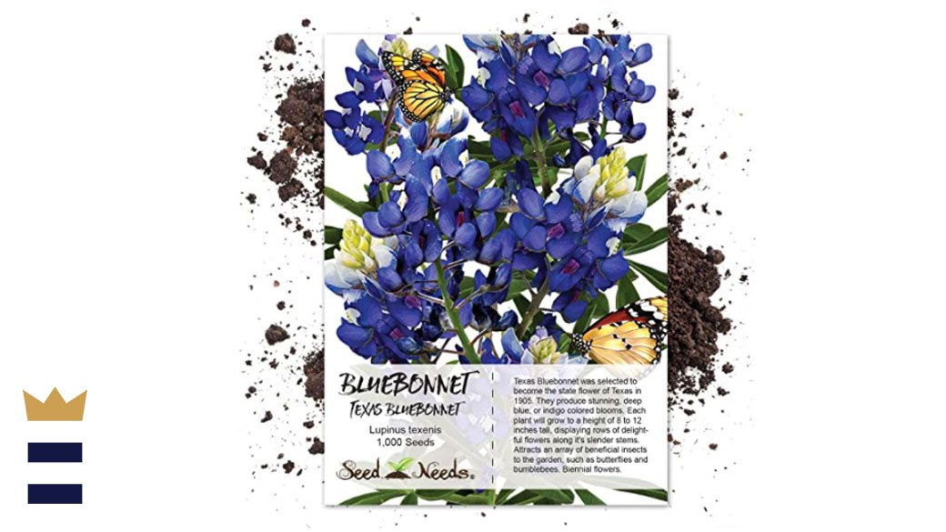 Seed Needs Texas Bluebonnet seeds