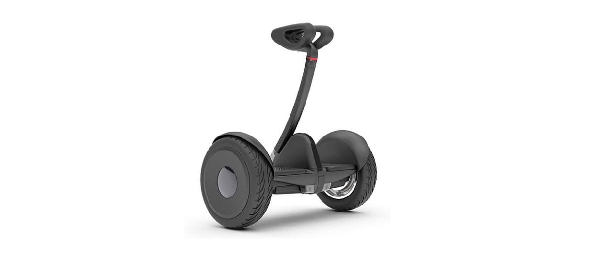 Segway Ninebot S