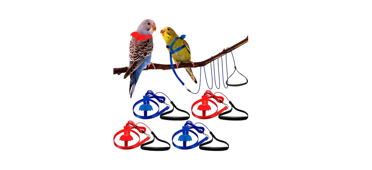 Shappy Bird Harness And Leash