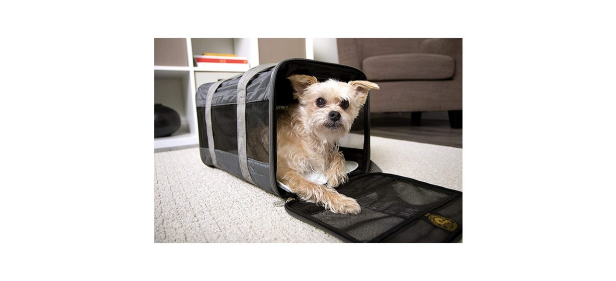 what is the best dog carrier