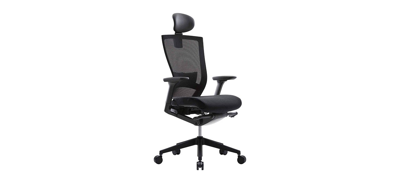 SIDIZ T50 Home Office Desk Chair