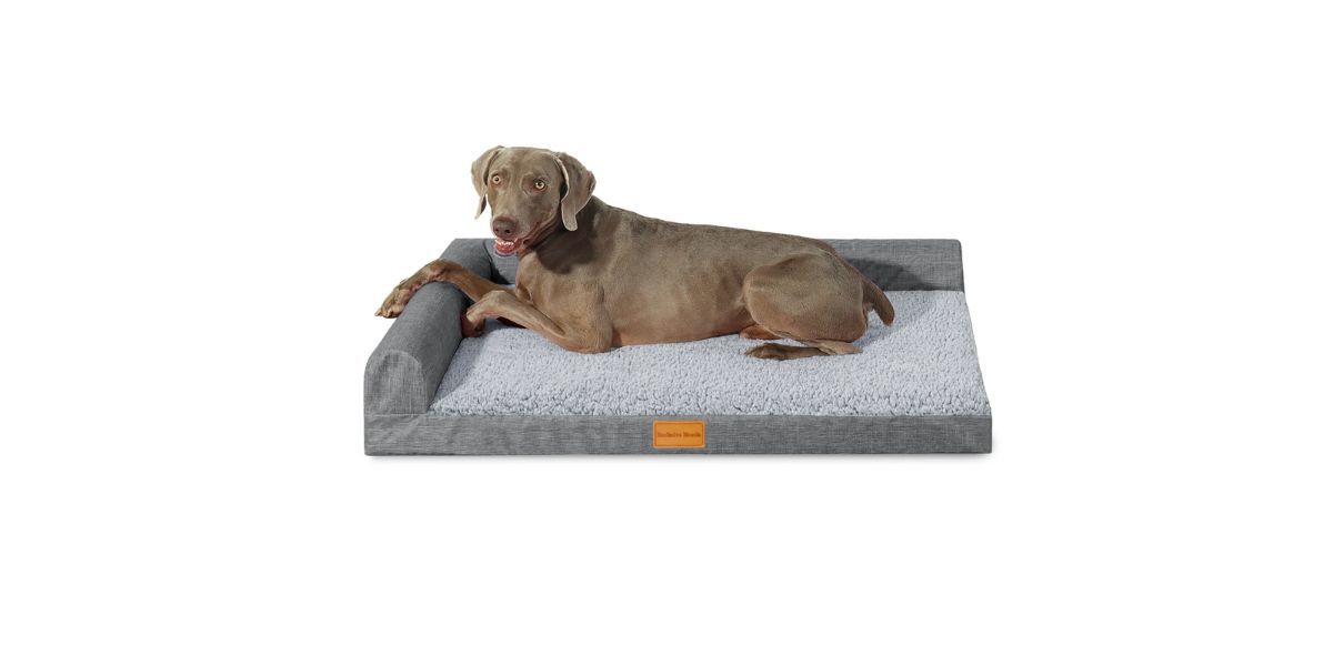 Exclusivo Mezcla Orthopedic Pet Bed