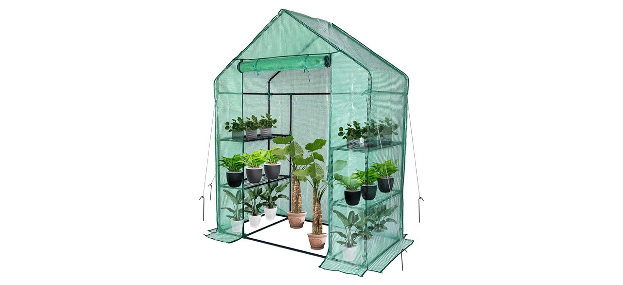 Small Greenhouse For Outdoors