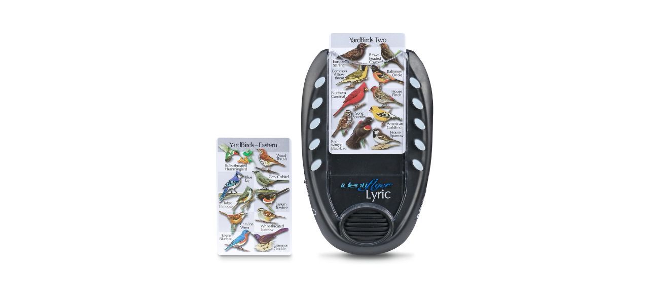 Identiflyer Bird Song Pocket Identification