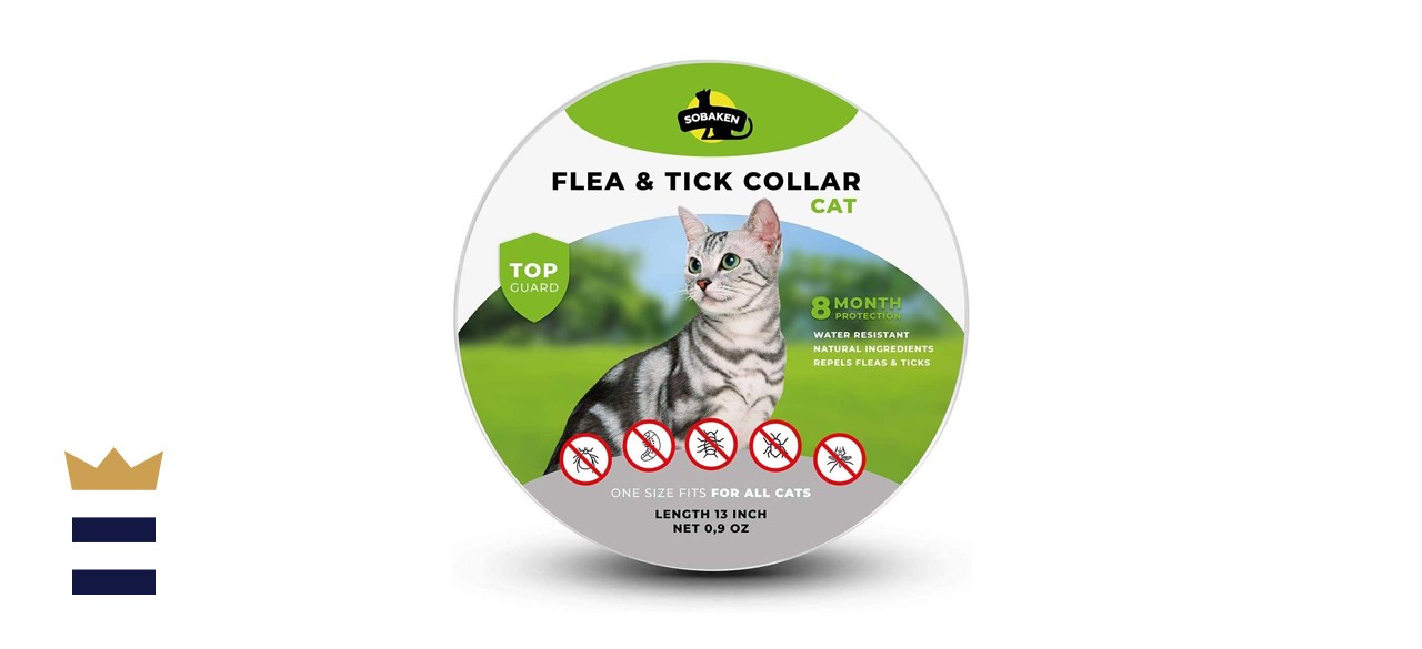 How to use a flea collar for cats KXAN Austin