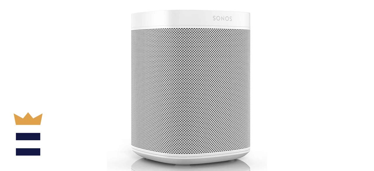 voice enabled sonos speaker