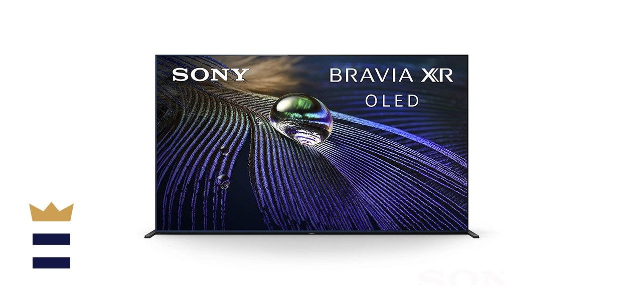 LG OLED TV vs. Sony OLED TV WGNO