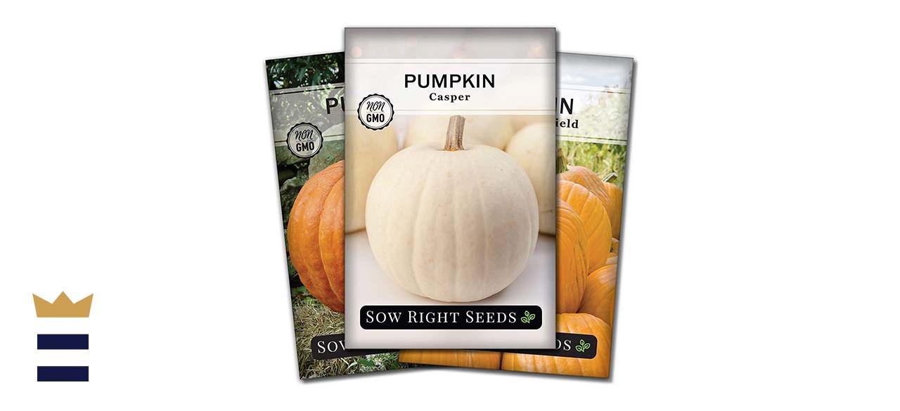 Sow Right Seeds Pumpkin Seeds