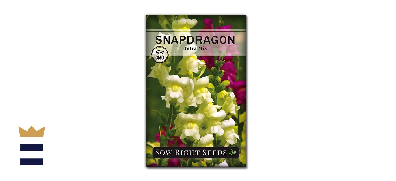 Sow Right Seeds Snapdragon Flower Seeds