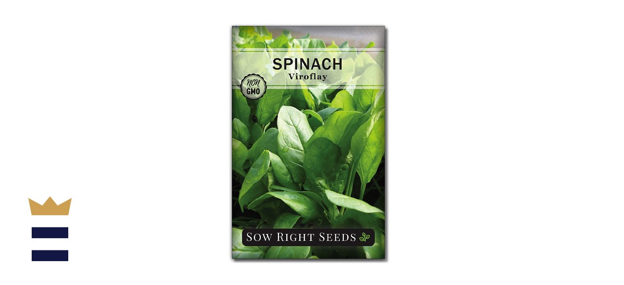 Sow Right Seeds - Viroflay Spinach Seed for Planting
