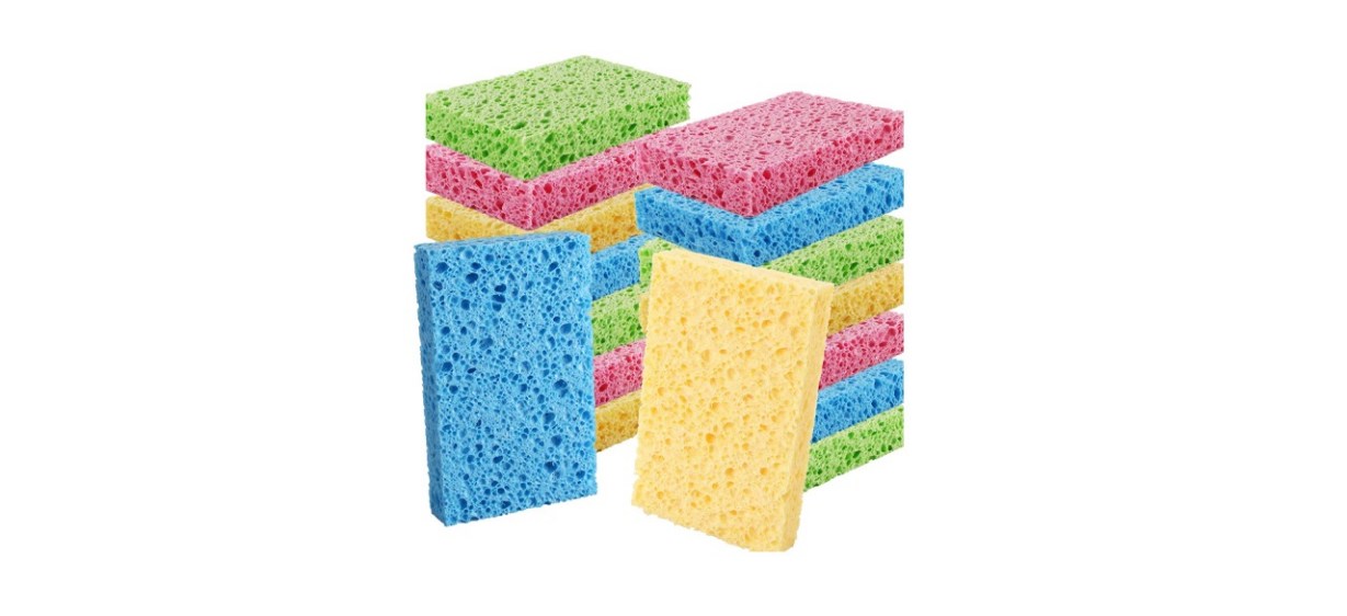 sponge