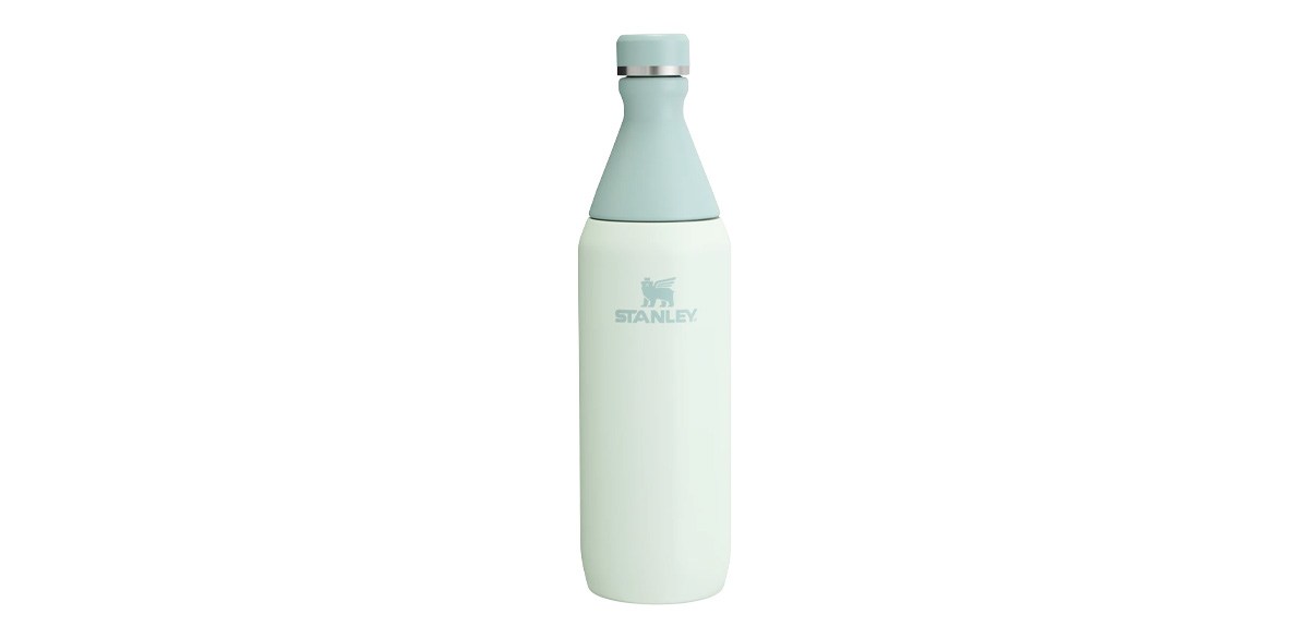 Stanley All Day Slim Bottle 20 oz
