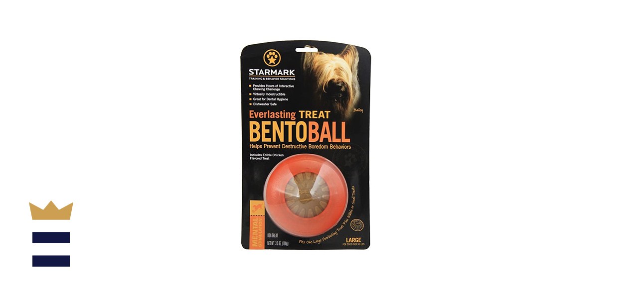 Starmark Everlasting Treat Bento Ball Tough Chew Toy