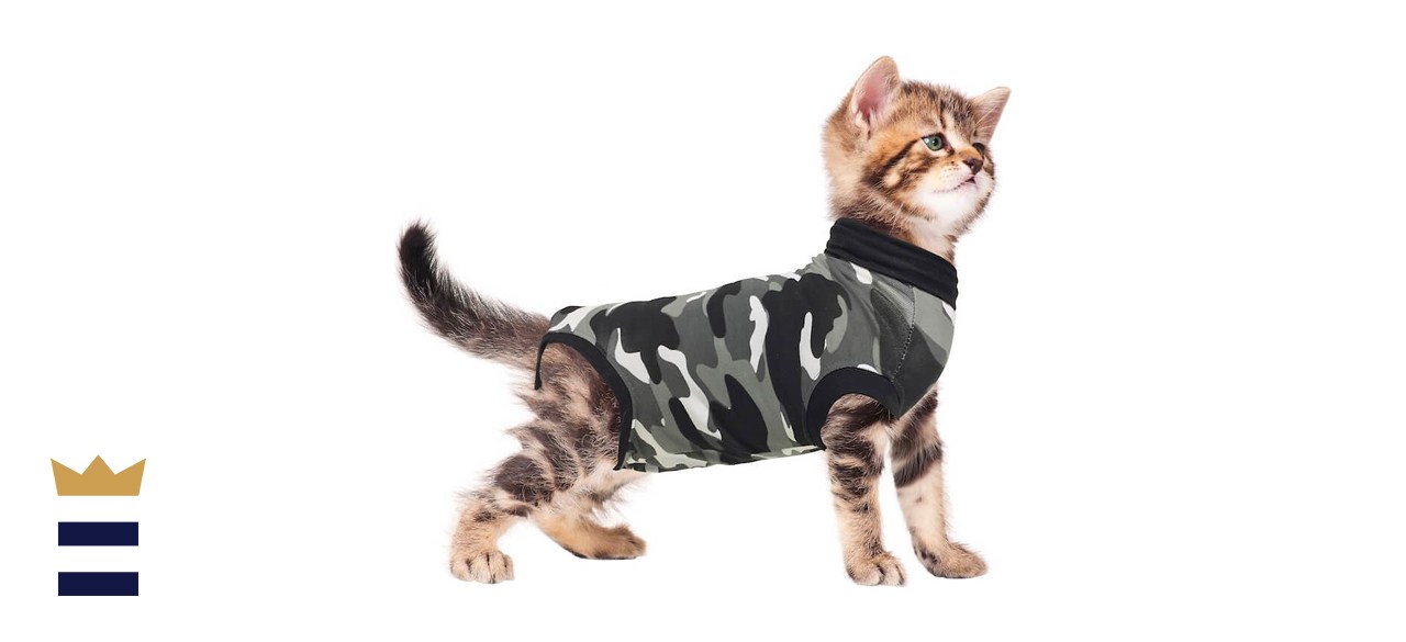 best cat clothes