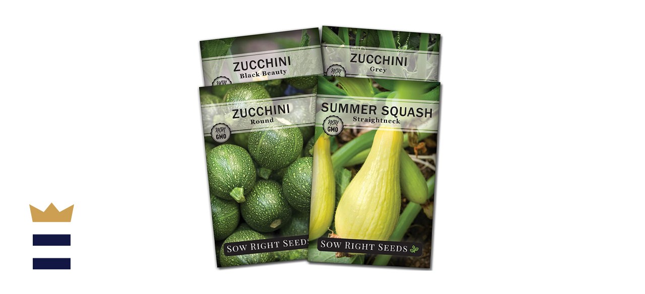 Sow Right Seeds - Zucchini Squash Seed Collection for Planting