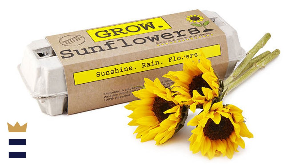 Sunflower Garden Grow Kit