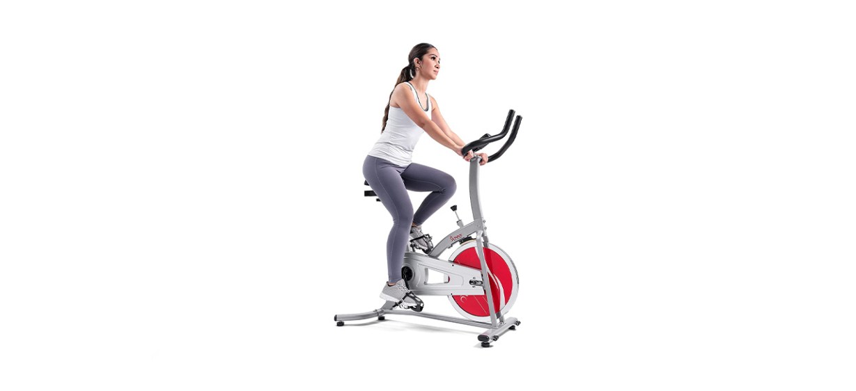 Sunny Health and Fitness Exercise Bike