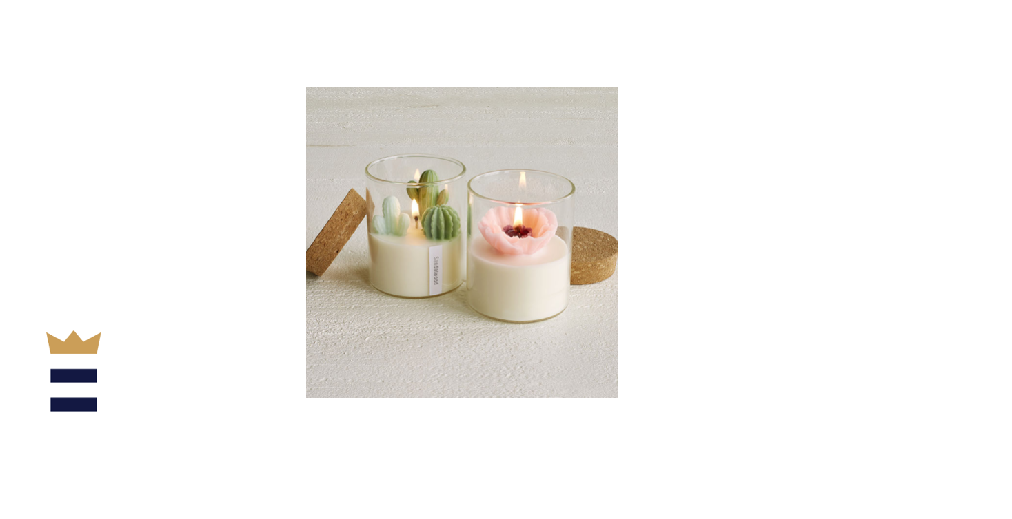 Terrarium Candle Terrarium Candle