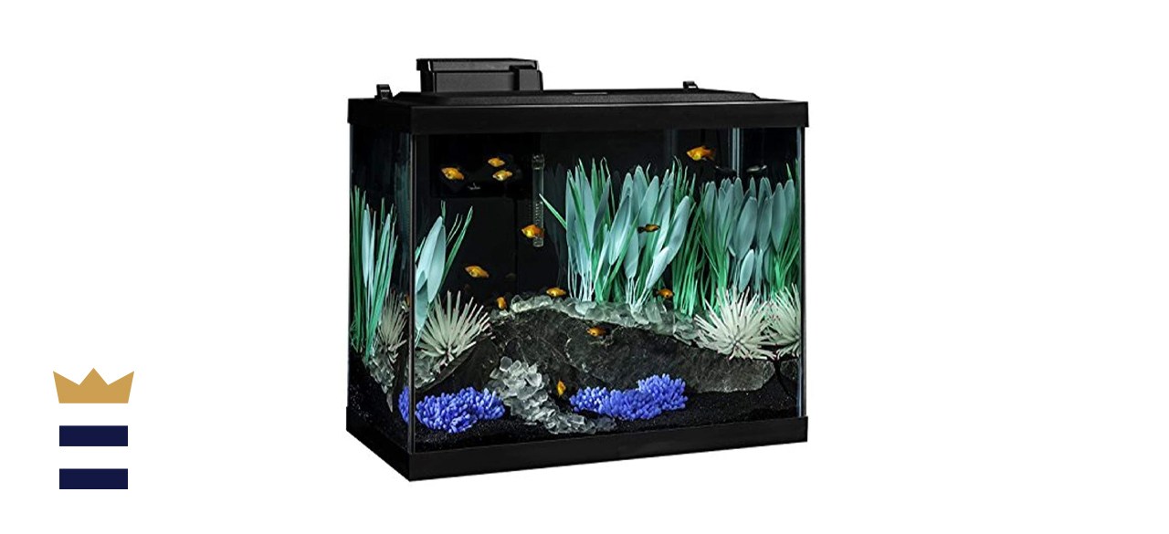 Tetra ColorFusion Aquarium 20 Gallon Fish Tank Kit