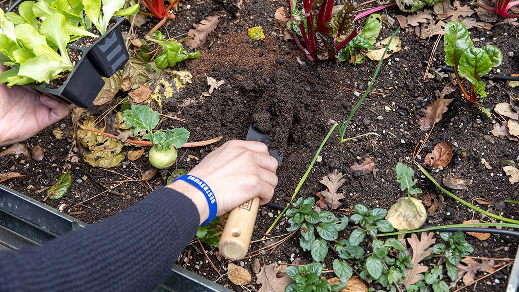 The best potting soil