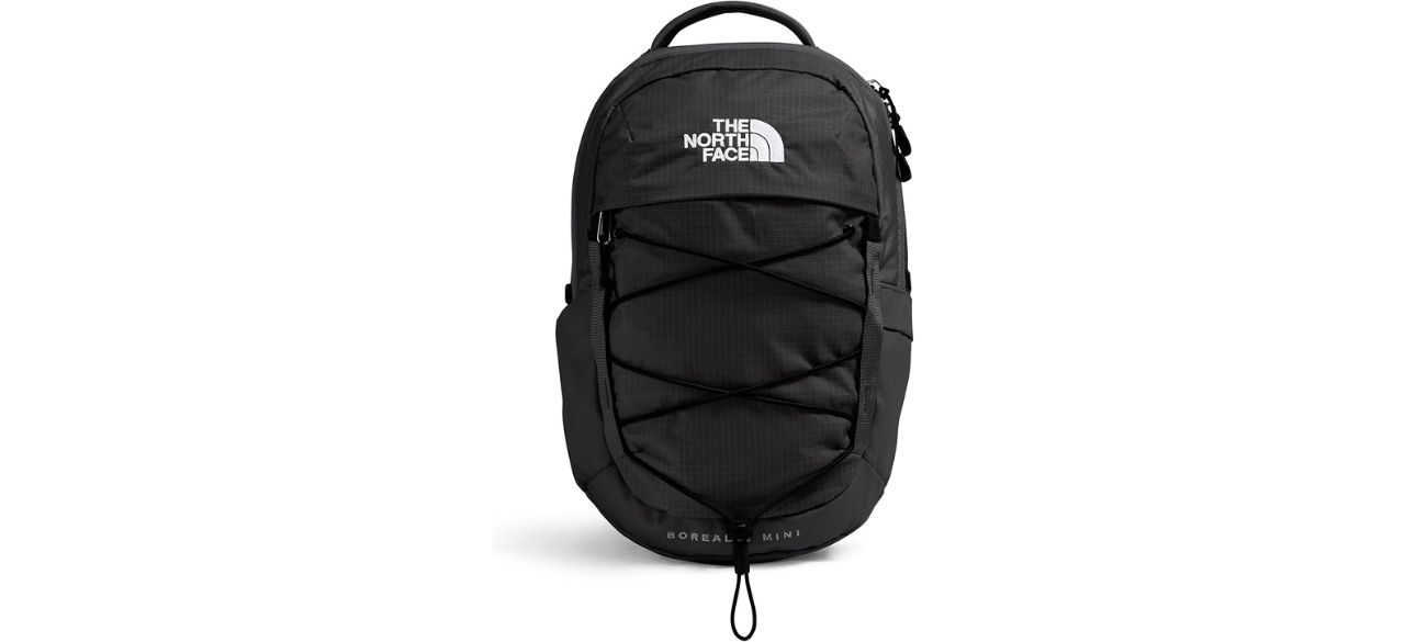 The North Face 10L Mini Borealis Everyday Backpack on white background