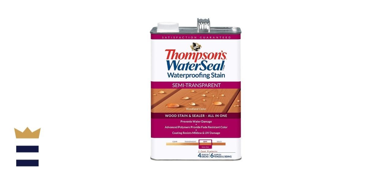 Thompson’s Waterseal Waterproofing Stain