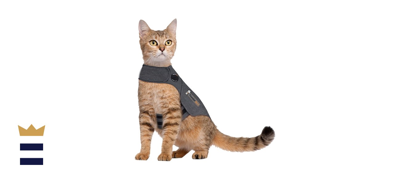 Thundershirt for Cats